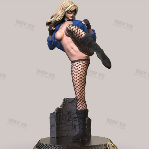 Black Canary and NSFW 3D Prints STL File